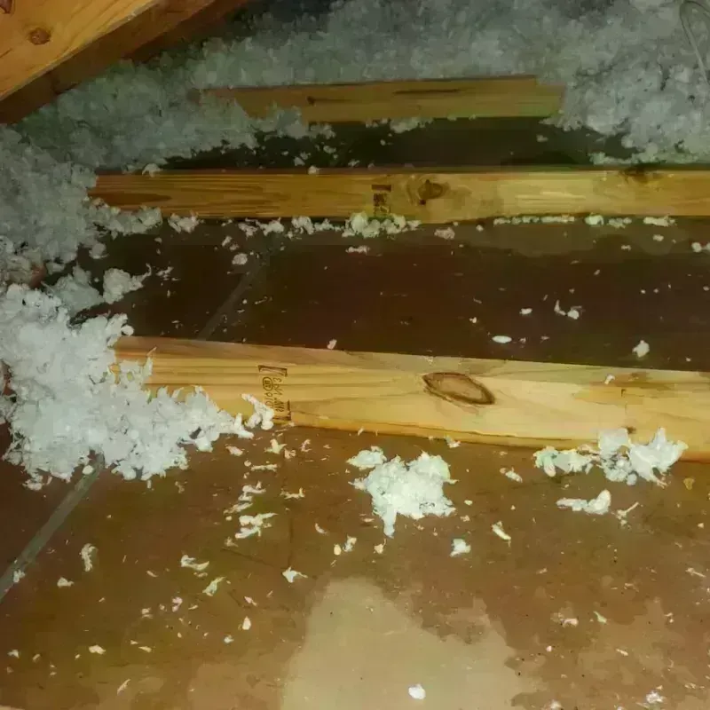 Attic Water Damage in Pleasant Grove, UT